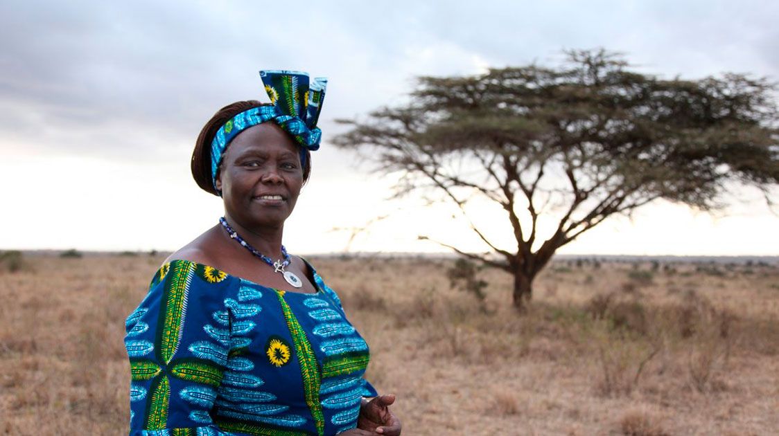 Wangari Maathai - The Woman who Planted Millions of Trees